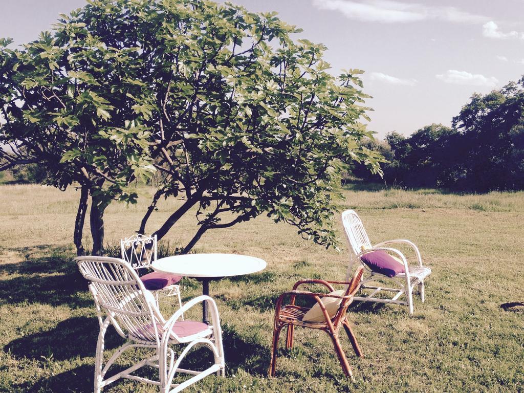 B&B Mas Coquells Habitacion Genover Vilanant Buitenkant foto