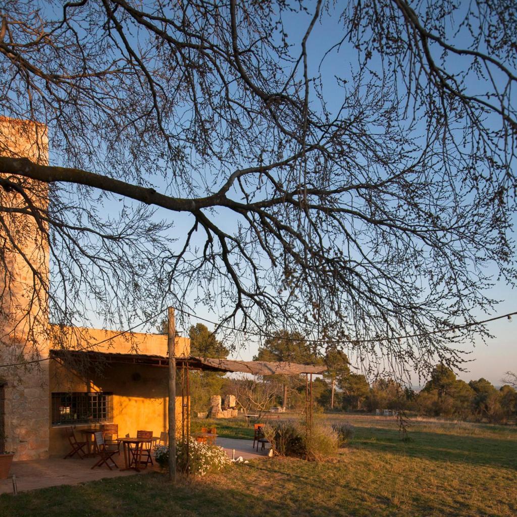 B&B Mas Coquells Habitacion Genover Vilanant Buitenkant foto